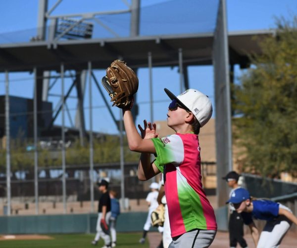 A young baseball player catches a ball during a game on a sunny day.